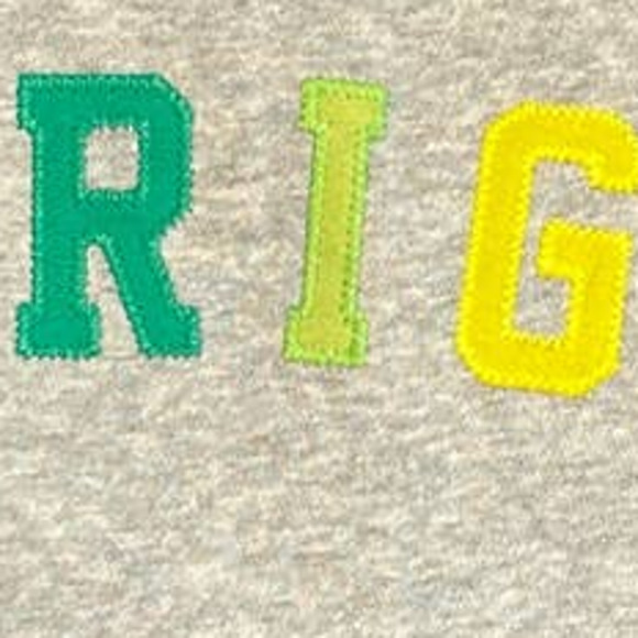 3/$27 NWT Gap Unisex Arm & Chest Logo Crewneck Sweatshirt in Gray, size 18-24 mo - Picture 3 of 5